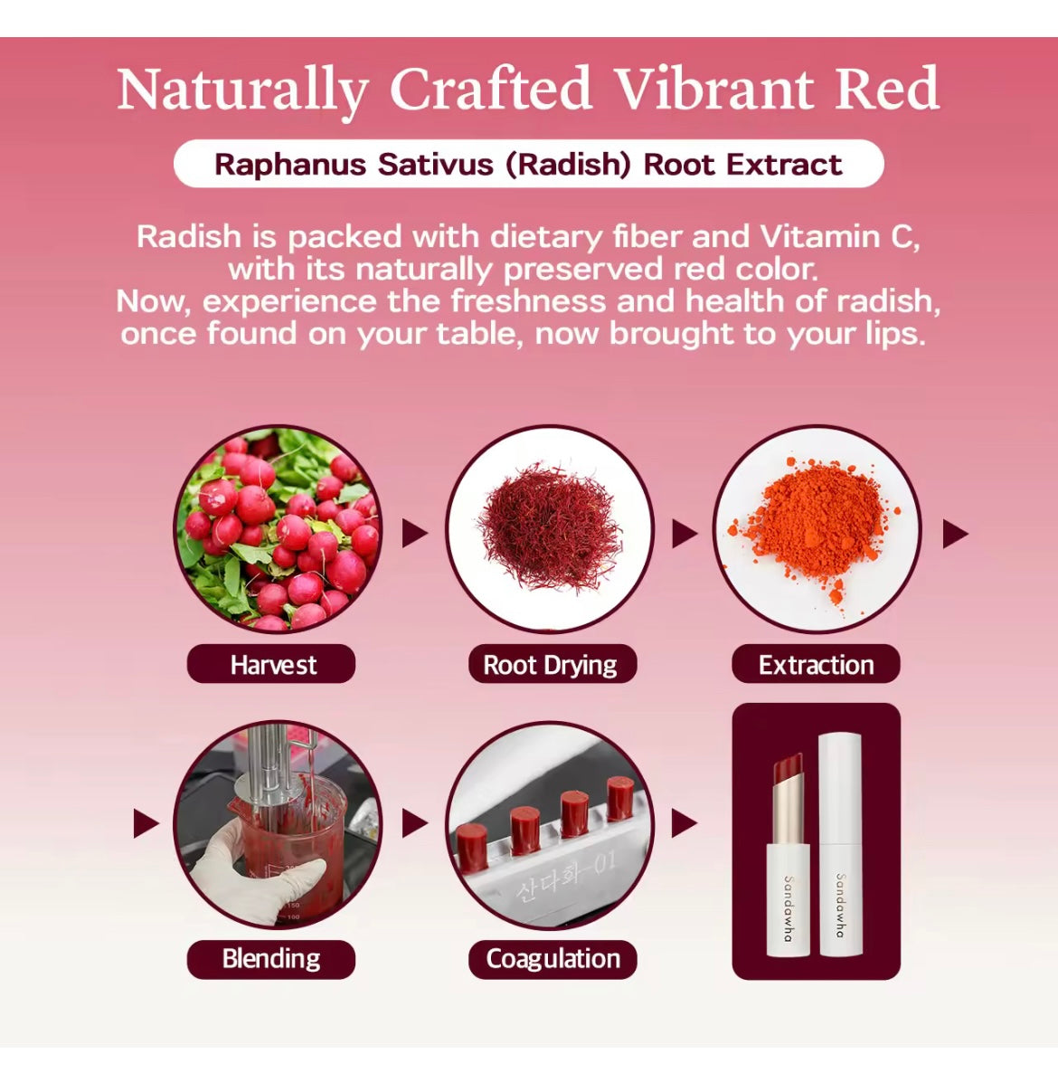 AMS Halo Bloom – Rouge à Lèvres Soin Naturel Camélia & Rose | 100% Pur & Nourrissant