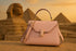 Sac rose près du sphinx égyptien